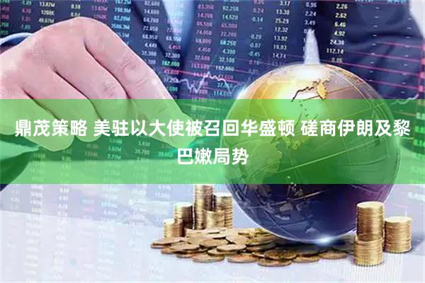 鼎茂策略 美驻以大使被召回华盛顿 磋商伊朗及黎巴嫩局势
